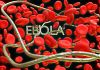 Одобрена е първата ваксина срещу ебола