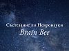 МУ-Варна ще бъде домакин на кръг от най-голямото ученическо състезание по невронауки в света