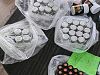 Разбиха импровизиран цех за хормонални препарати в Пирдоп