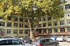 МБАЛ - Пазарджик обявява конкурс за лекари специализанти за шест отделения