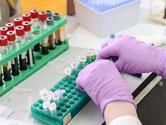 Португалска фондация дава награда от 1 млн. eвро за проучвания в областта на рака