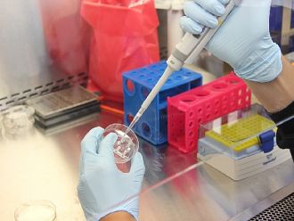 Учени разработват ваксини на таен остров в Германия