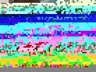 Министърът: 27 млн. лв. са напълно достатъчни за новата болница в Ямбол