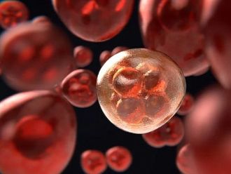 СЗО прогнозира 81% ръст на раковите заболявания в бедните страни