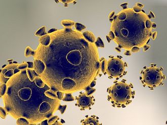 СЗО не отбелязва затихване на коронавируса в зависимост от разпространението му по света