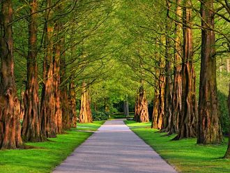 От утре отварят парковете, но при определени условия