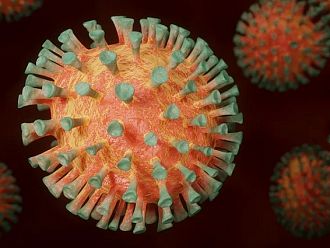 44% от българите смятат, че коронавирусът не съществува