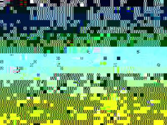 Проф. Дора Златарева е избрана за председател на Дивизията по неврорентгенология на UEMS