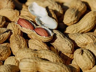 ЕМА разреши ново лекарство за алергия към фъстъци при деца