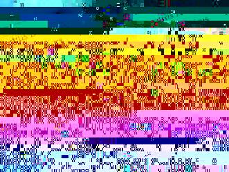 РЗИ - Ловеч спря издаването на направления за PCR тестове