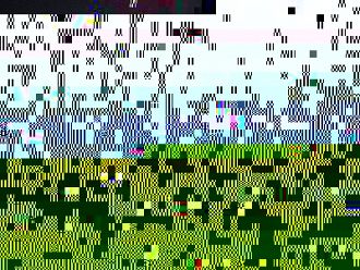 Китай категорично отхвърли предложението на СЗО за второ разследване