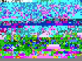 СЗО: За първи път от 10 години насам се увеличава броят на починалите от туберкулоза