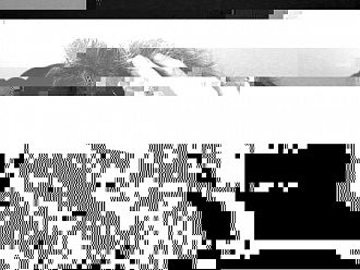 Посттравматичният стрес при медиците на първа линия може би не е свързан пряко с пандемията