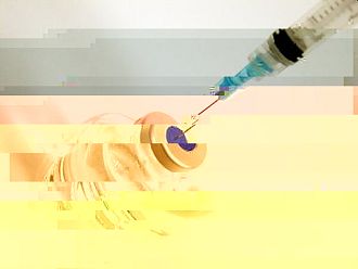 Очаква се одобрение на първата в света растителна ваксина срещу COVID-19