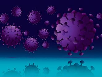 Плацентата може да отделя протеини, за да се предпази от коронавируса