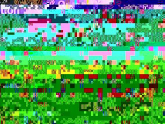 СЗО: Въздействието на пандемията ще се усеща още десетилетия, особено от най-уязвимите