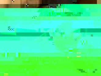 Проф. Сербезова: Водят се преговори за препродаване на ваксини на Франция