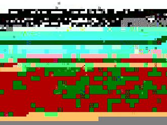 Лекар, издавал фалшиви сертификати, е задържан във Варна