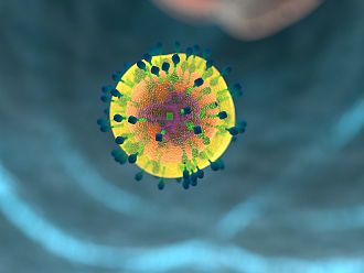 Паметта на имунната система продължава година след COVID-19
