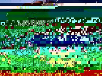 Проф. Сербезова: Законопроектът за off-label употребата на лекарства няма да бъде внасян в МС