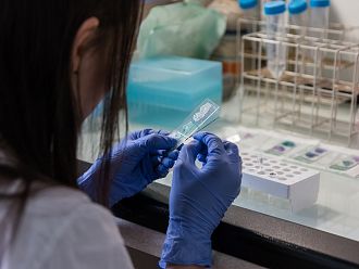 Испания и Португалия водят по брой случаи на маймунска шарка в Европа