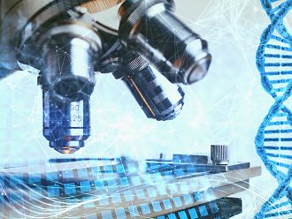 Проучват ефекта на антитяло срещу полиомавирусна инфекция при бъбречно трансплантирани