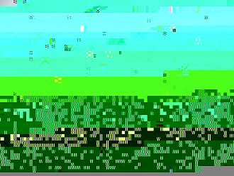 EMA започва непрекъснат преглед на нова адаптирана COVID ваксина на Pfizer/BioNTech