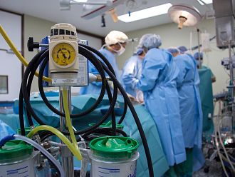 Трансплантираха свински сърца на двама пациенти в мозъчна смърт