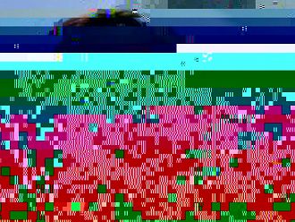 Министър Сербезова: До края на годината трябва да е готова Националната здравна стратегия 2021 - 2030 г.