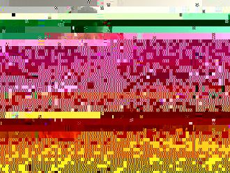 Проф. Кюркчиев: Най-разумната мярка са ваксините, трябва да се поставят на всеки 6 месеца