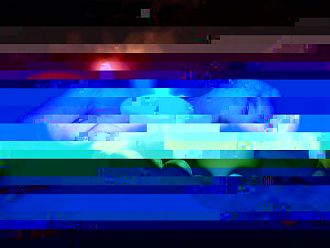 Почина д-р Константин Николов