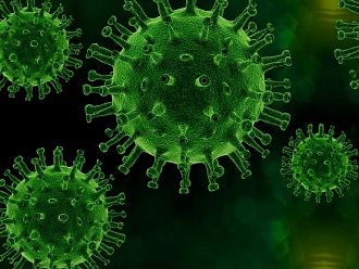 663 са новите случаи на коронавирус за последното денонощие (Обновена)