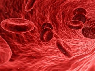 EMA одобри първата генна терапия за лечение на хемофилия B