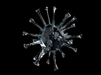 2,4% положителни проби, няма починали