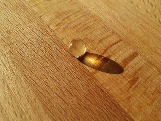 Днес отбелязваме Световния ден на