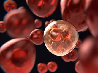 Novo Nordisk инвестира печалбите си в производство на лекарства за редки болести