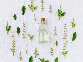 Успокоителни на билкова основа – естествен подход към баланса на ума и тялото