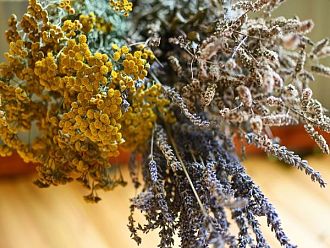 Еньовден е – честит празник на фармацевтите!