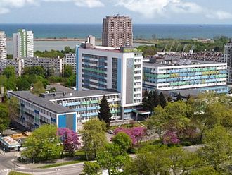 УМБАЛ - Бургас кани пораснали недоносени бебета като модели в календар