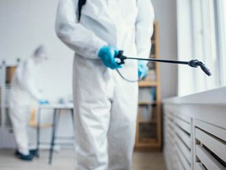 Как да различим ухапвания от дървеници: разпознаване, симптоми и разлики от други ухапвания