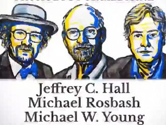 Американци взеха Нобелова награда за медицина за откритието им за работата на биологичния часовник