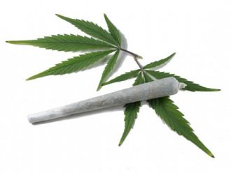 Протестират за декриминализиране на конопа