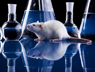 ЕМА призова за по-етично отношение в използването на животни при тестването на нови лекарства