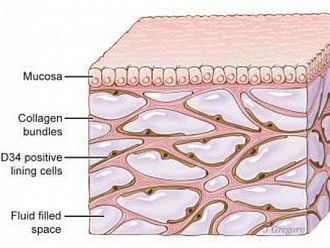 Откриха как се разпространява ракът в човешкото тяло