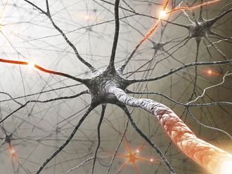 БАНМХ и БЛС дават четири стипендии на млади лекари за безплатно участие в националния конгрес на Асоциацията по невросонология