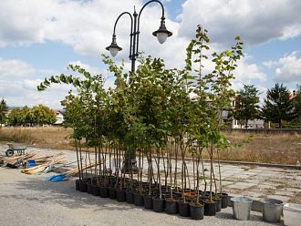 Фармакомпания стартира инициатива за опазване на околната среда