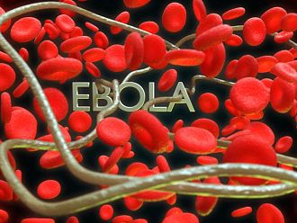 Над 400 души са починали от ебола в Конго