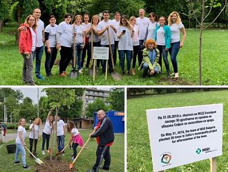 Екипът на MSD България засади 40 дръвчета